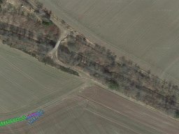 reinsfeld8