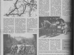 Rund um Hermeskeil 1994