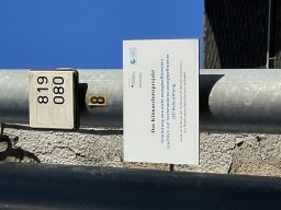 IMG_0405