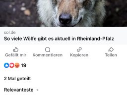 Bürger Internetz